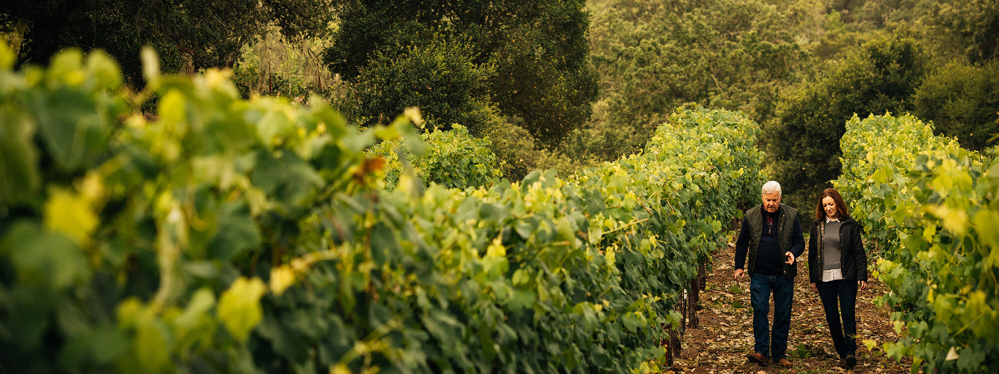 kristy melton and ted edwards