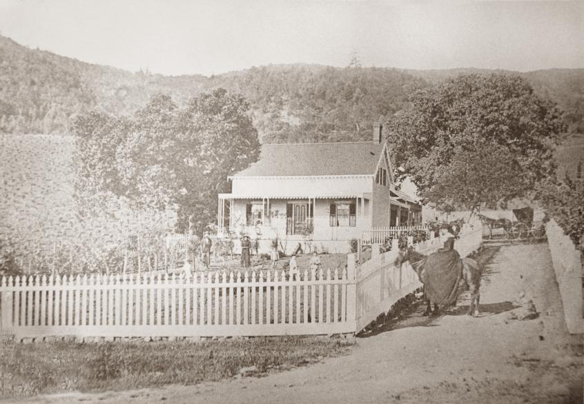 Josephine Tychson at her vineyards in St. Helena