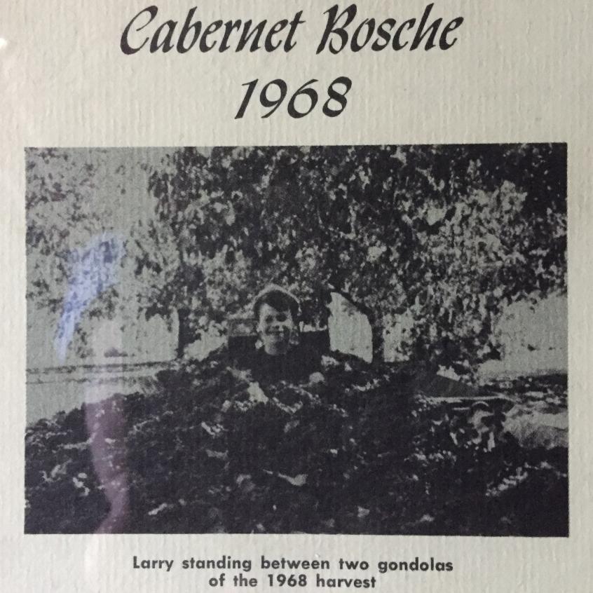 Larry Bosché, Bosché Vineyard 1968