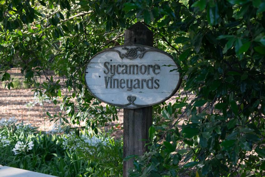 Sycamore Vineyard Cabernet