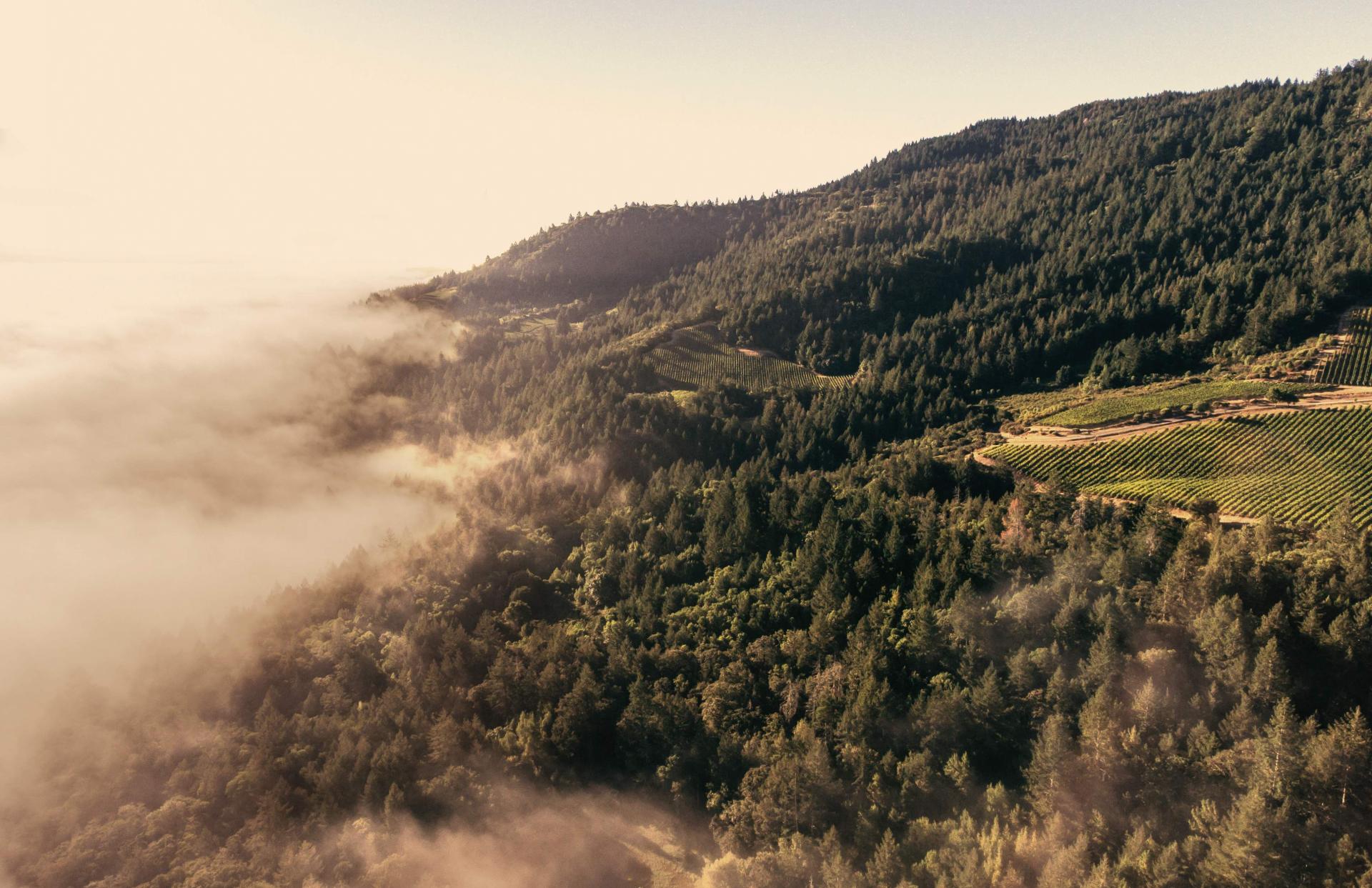 Peaks of Napa Valley